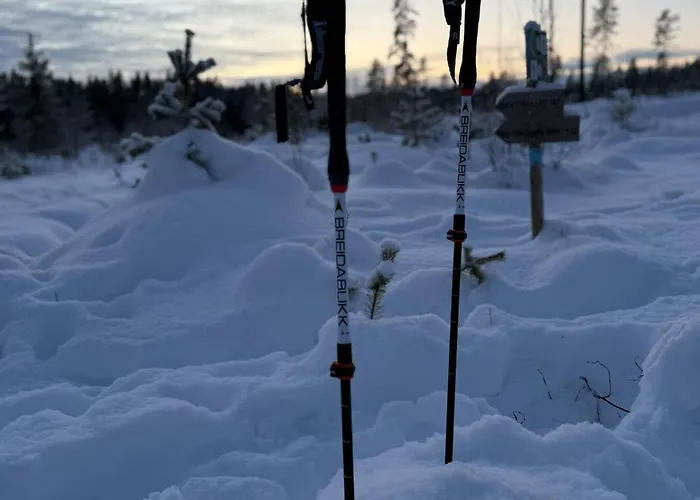 Musekroken Tatil Evi *